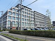 【総合病院】柏たなか病院まで870ｍ