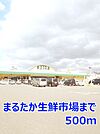 【スーパー】まるたか生鮮市場まで500ｍ