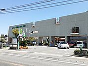 【総合病院】大西脳神経外科病院まで1200ｍ