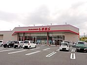 ファッションセンターしまむらまで230ｍ