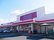 【スーパー】マックスバリュ真名子店まで972ｍ