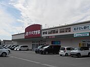 【ドラッグストア】クスリのアオキ西今店様まで330ｍ