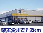 【ドラッグストア】薬王堂まで1200ｍ