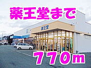 【ドラッグストア】薬王堂まで770ｍ
