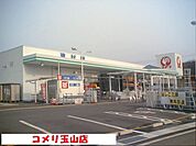 【ホームセンター】コメリ玉山店まで750ｍ