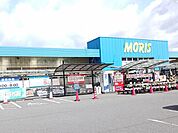 【ホームセンター】モリスまで650ｍ