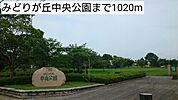 【公園】みどりが丘中央公園まで1020ｍ