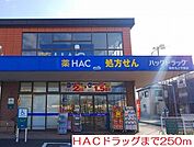 【ドラッグストア】ＨＡＣドラッグまで250ｍ