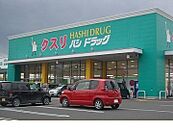 【ドラッグストア】ハシドラック南福島店まで1200ｍ