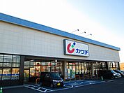 【ドラッグストア】カワチ薬品まで2440ｍ