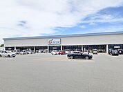 【ドラッグストア】カワチ薬品米沢北店まで1640ｍ
