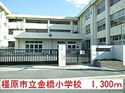 【小学校】橿原市立金橋小学校まで1300ｍ