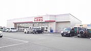 ファッションセンター　しまむらまで500ｍ
