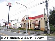 【その他】ガスト柏原国分店様まで1000ｍ