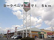 【スーパー】ヨークベニマルまで1500ｍ