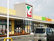 【スーパー】ヨークベニマル新本宮館町店まで1300ｍ