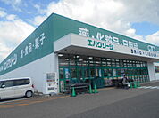 【スーパー】エバグリーン御坊店様まで1300ｍ