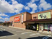 【スーパー】ピボット食品館会津若松店まで500ｍ