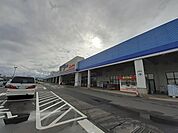 【ホームセンター】コメリパワー新津店まで140ｍ