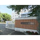 【小学校】桜ケ丘小学校まで748ｍ