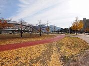 【公園】三萩野公園・メディアドームまで100ｍ