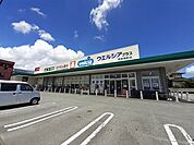 【ドラッグストア】ウエルシアプラス島町店まで800ｍ