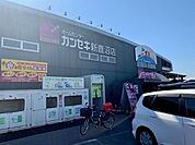 【ホームセンター】カンセキ新鹿沼店まで750ｍ