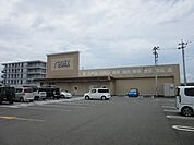 【スーパー】ロッキー八代古閑中店まで270ｍ