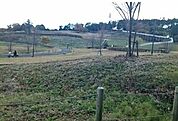【公園】おだわら諏訪の原公園まで950ｍ