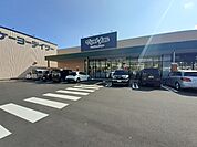 【ドラッグストア】マツモトキヨシ　宮川店まで1280ｍ