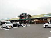 【スーパー】デリシア　梓川店まで740ｍ