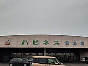 【スーパー】ハピネス霧島店まで1100ｍ