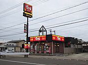 【その他】すき家静岡松富店まで300ｍ