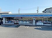【コンビニエンスストア】ローソンまで800ｍ