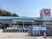 コメリ 綾部店まで130ｍ