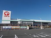 【ホームセンター】コメリハード＆グリーン小笠店まで550ｍ