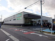 【スーパー】フェルナ 大和店まで700ｍ