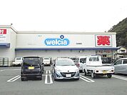 【ドラッグストア】ウエルシア　榛原店まで1400ｍ