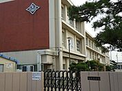 【小学校】矢田小学校まで250ｍ