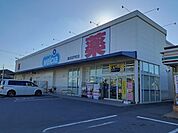 【ドラッグストア】ウエルシア高浜田戸町店まで416ｍ