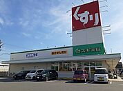 【ドラッグストア】スギ薬局碧南城山店まで768ｍ