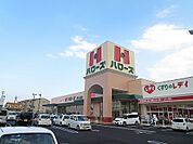 【スーパー】ハローズ津乃峰店さんまで290ｍ