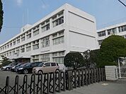 【小学校】松茂小学校まで700ｍ