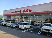 しまむら土居店まで2087ｍ