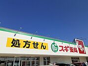 【ドラッグストア】スギドラッグ　岩倉東店まで700ｍ