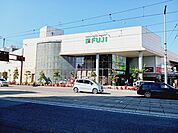 【スーパー】フジ道後店様まで67ｍ