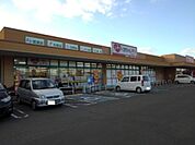 【ドラッグストア】レディ薬局西条店様まで180ｍ