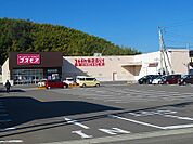 【ドラッグストア】コスモス別府店様まで350ｍ