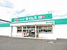 周辺：【ドラッグストア】セイムス東大洲店様まで4100ｍ