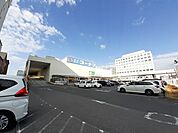【ホームセンター】コーナン高知駅前店まで1600ｍ